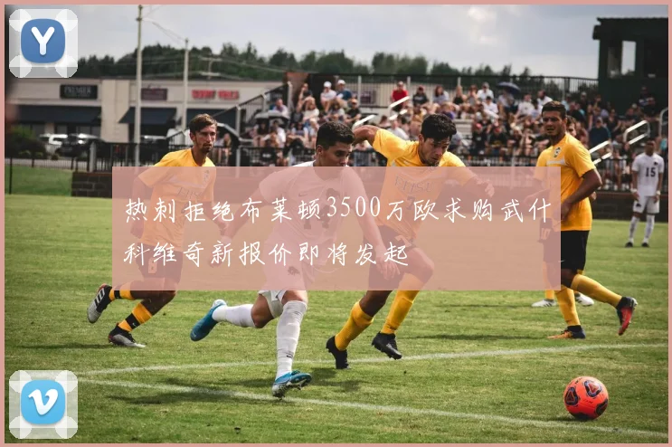 热刺拒绝布莱顿3500万欧求购武什科维奇新报价即将发起